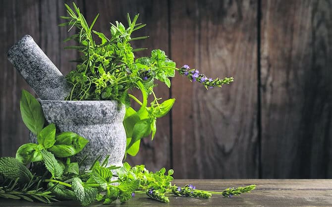 Bότανα: Λιβάνι