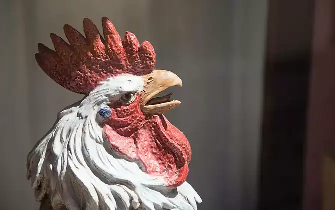 Αξιοποιώντας την Ευημερία: Η Δύναμη των Συμβόλων Πετεινού στο Φενγκ Σούι