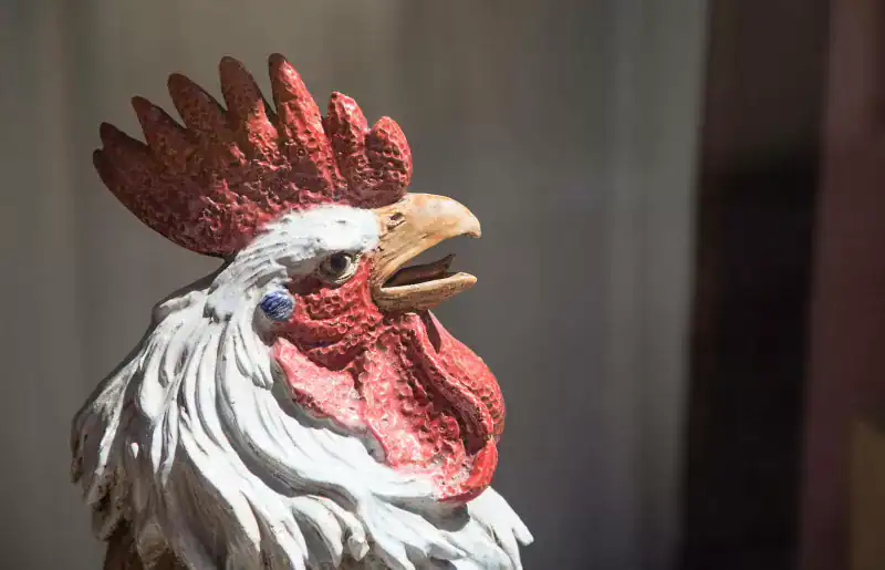 Αξιοποιώντας την Ευημερία: Η Δύναμη των Συμβόλων Πετεινού στο Φενγκ Σούι