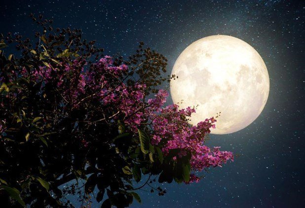 Πώς να εκμεταλλευτείς την ενέργεια της Πανσελήνου στις 1 Απριλίου