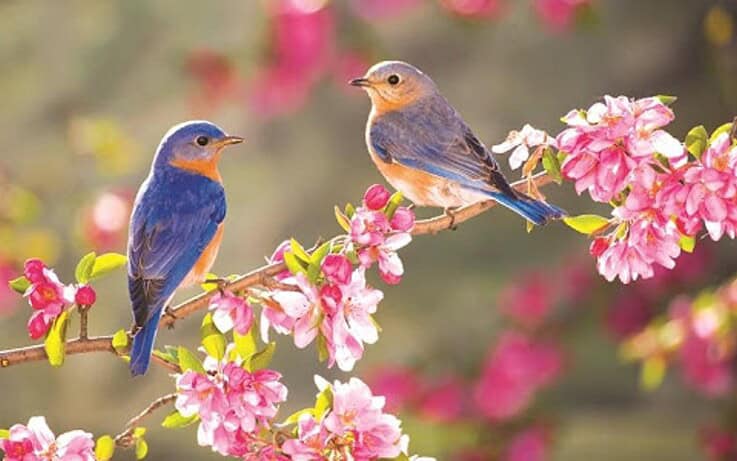  4 ζώδια εκδηλώνουν ισχυρά νέα ξεκινήματα στην Εαρινή Ισημερία