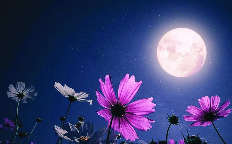 Καυτή Πανσέληνος στον Σκορπιό: Μυστικά, Αποκαλύψεις και Εκρηκτικές Αλλαγές για Όλα τα Ζώδια (27 Απριλίου – 3 Μαΐου 2026)