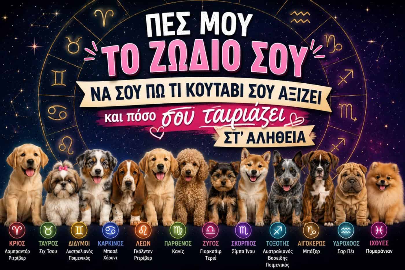 Πες μου το ζώδιό σου να σου πω τι κουτάβι σου αξίζει και πόσο σου ταιριάζει στ’ αλήθεια