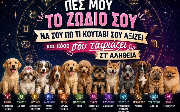 Πες μου το ζώδιό σου να σου πω τι κουτάβι σου αξίζει και πόσο σου ταιριάζει στ’ αλήθεια